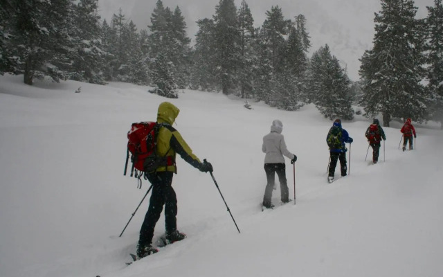 Amaroq Explorers BaseCamp