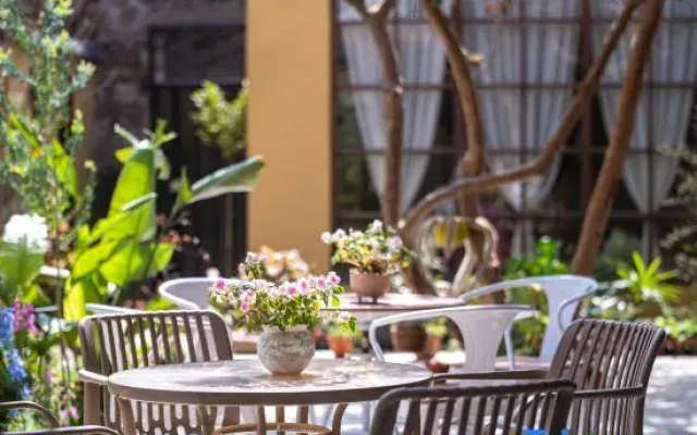 YOOOO·changgong's Meow Garden