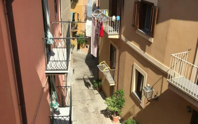 Saraceni 20