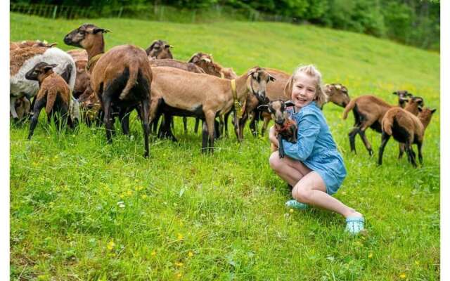 Infanglalm "attersee"