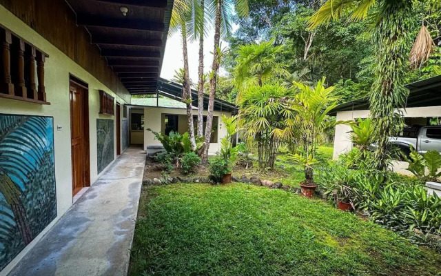 Ventanas en Corcovado