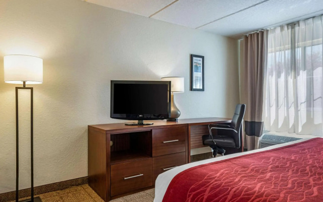 Comfort Inn Kissimmee-Lake Buena Vista South