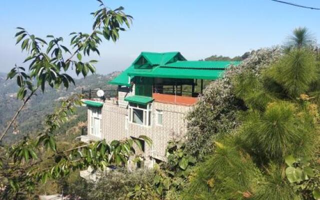 Orchid kasauli