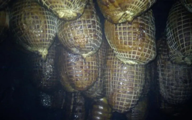 Pensjonat Widok - Bike Hotel