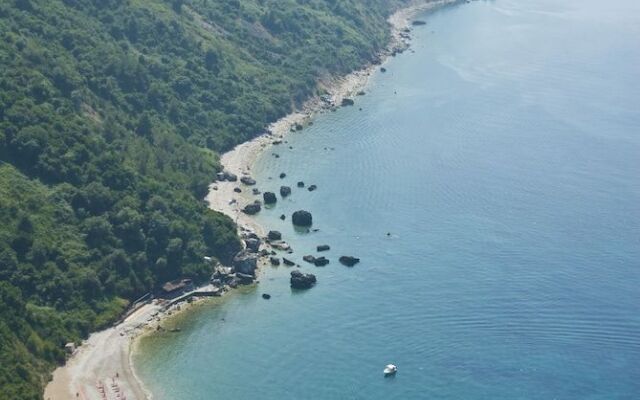 Avanti Hotel & Spa