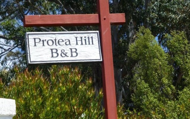 Protea Hill