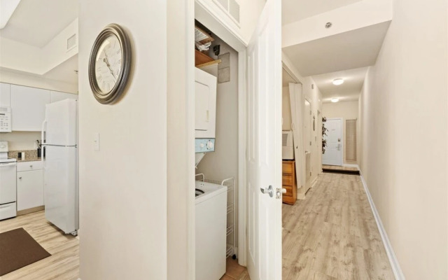 Shores Of Panama 809