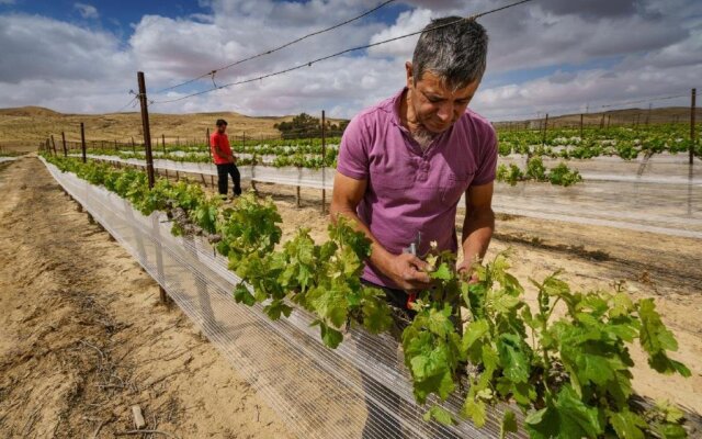 Boker Valley Vineyards Farm