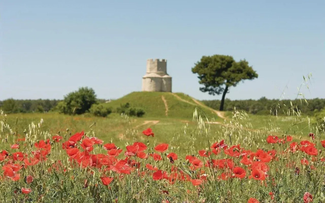 Amazing Apartment in Nin With 2 Bedrooms and Wifi