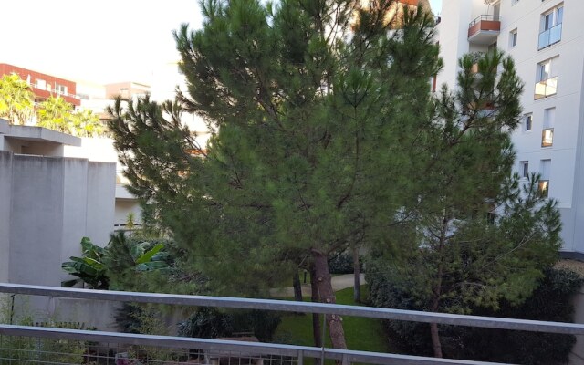 Grand T2 Montpellier-Port Marianne