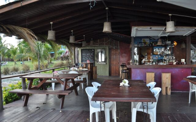 Tropical Gecko Studio