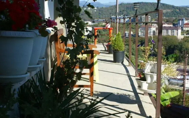 Panorama