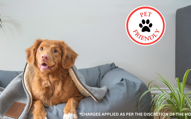 OYO Hotel Y Restaurante Mitla, Oaxaca