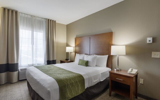 Comfort Inn & Suites Sacramento - University Area