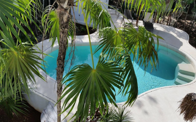Pura Vida Cancun, Guesthouse.