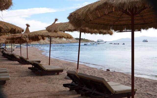 Palmyra Amar El Zaman Aqua Park