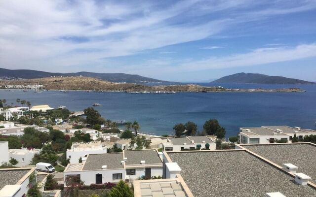 BO039 Bodrum