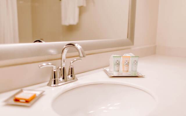 Holiday Inn Select North Dallas