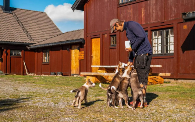 Jotunheimen Husky Lodge