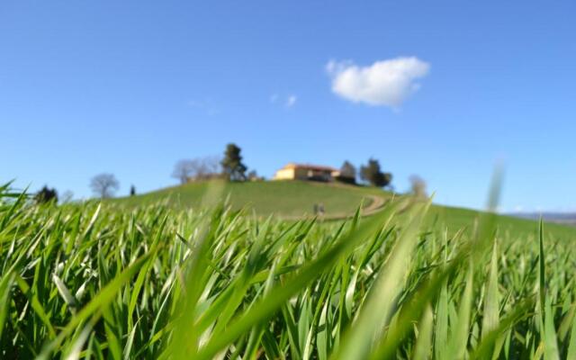 Poggio Alla Pietra 26