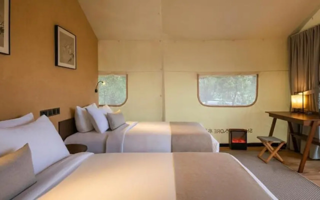 Zen By Stellar Cameron