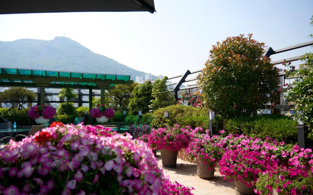 Busan Beach Hotel Busan Songdo