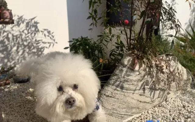 Floral Lux Hotel· Shaoxing Ancient Town Impression Hotel