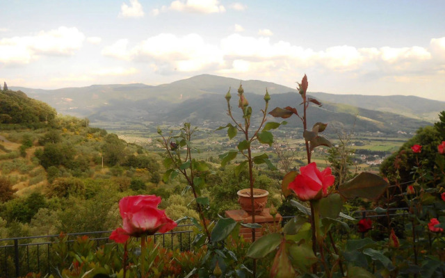Agriturismo Le Maceie