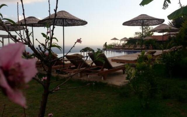 Olive Garden Kabak