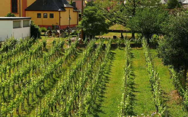 Cosy Flat in Trittenheim in a Charming Area