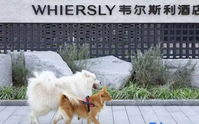 Whiersly
