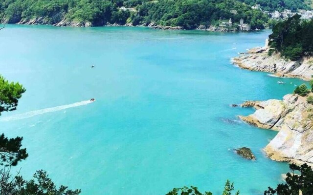 Characteristic 5-bed House on the Edge of Dartmoor