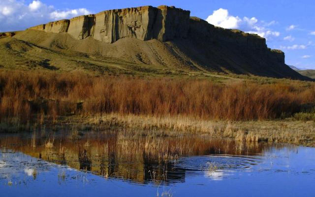 Allington Inn & Suites