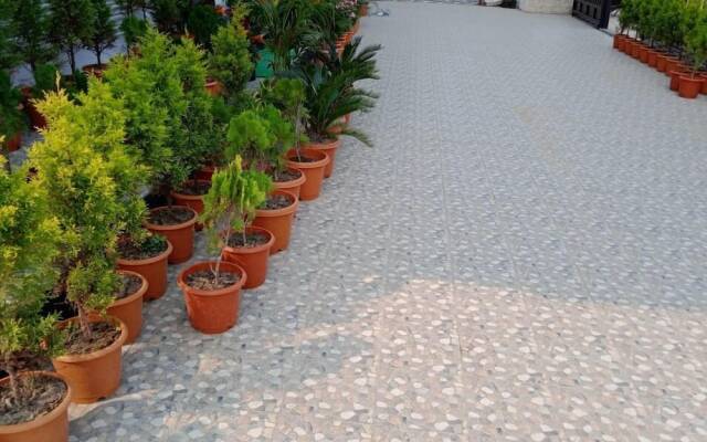 Hotel Dayal International