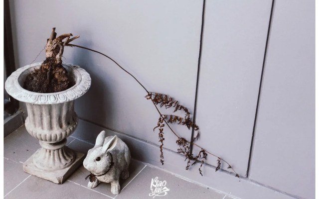 The Valley Khaoyai by Atkarut