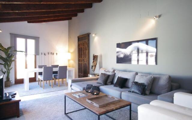 Valencia Luxury Ciutat Vella Penthouse