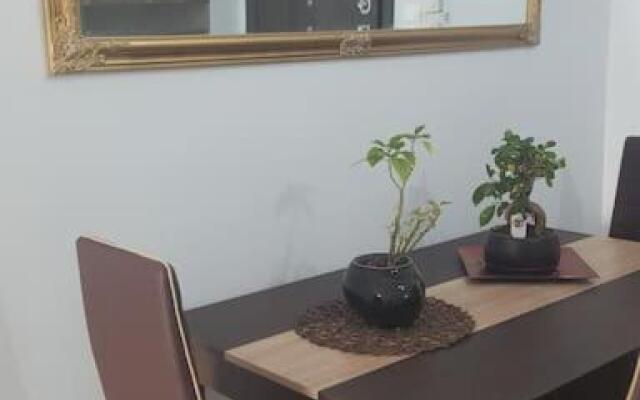 Two bedroom modern apartment