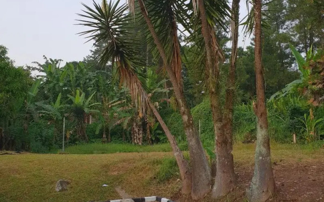 Hotel Cisarua Indah