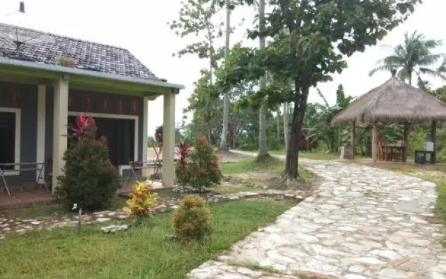 Latansa Inn