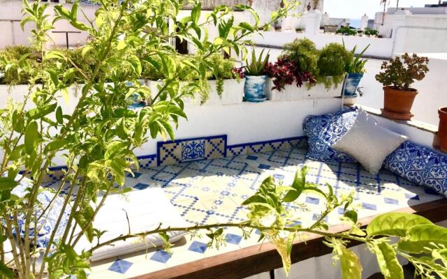 Casa del Artista Casas Vejer Debra