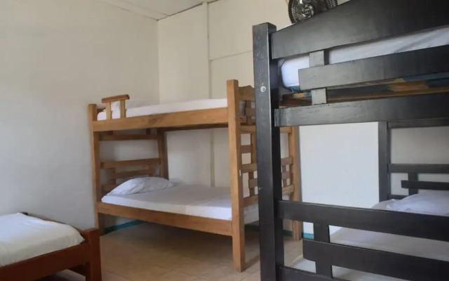 Mango Tree Hostel 4 20