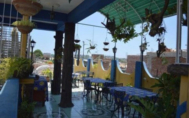 Girasol and Friends Rooms