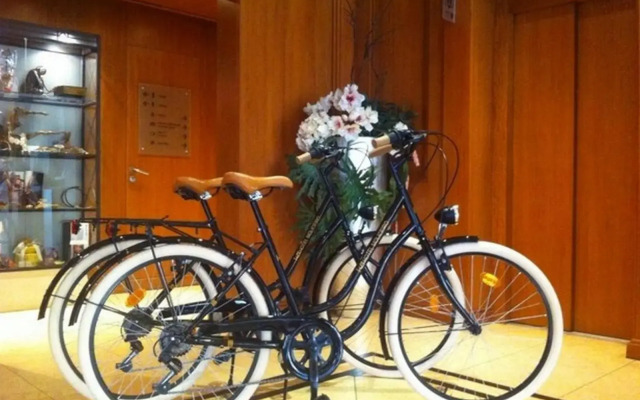 Hotel Moliceiro