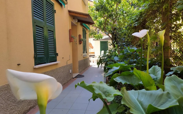 Corsini