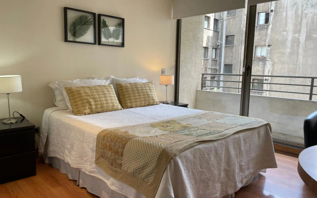 Santiago Lastarria Apartment