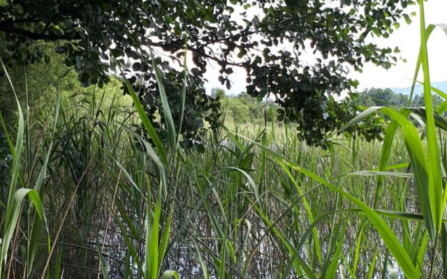 Pension Kreuzinger, 5310 Tiefgraben