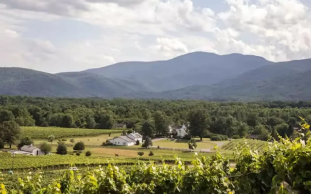 Wintergreen Ridge Retreat - Family Home