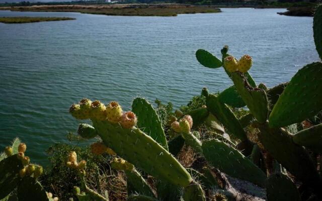 Victory Village Club 9F