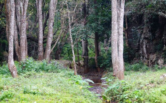 Secret Valley Jungle Resort