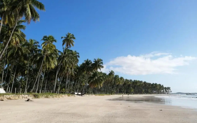 Carneiros Paradiso